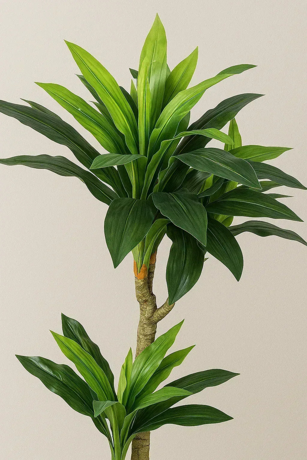 Artificial Dracaena Plant Without Pot 130cm