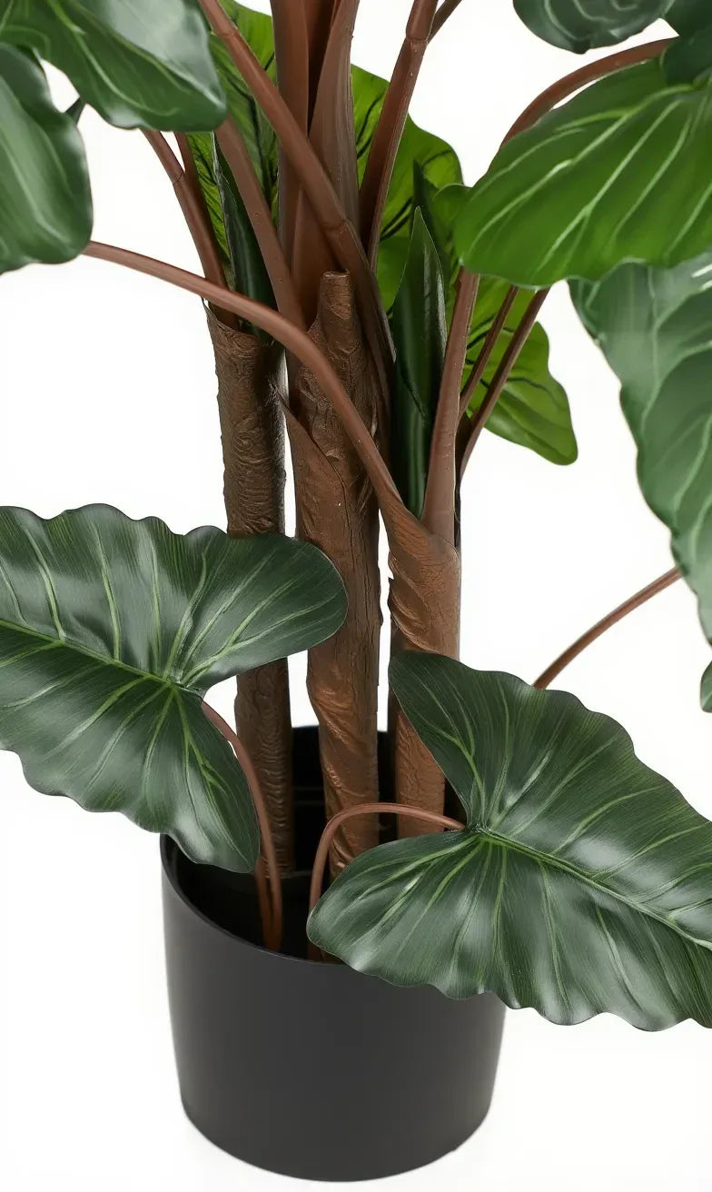 Artificial  Alocasia Plant With Fibre Reinforced Plastic Pot  198 cm