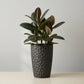 Tall Black Hammered Texture Ceramic Planter 36cm Width x 65cm height