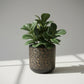 Black Etched Floral Pattern Ceramic Planter 40cm