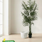 Areca Palm Tree + Marble Veil Ceramic Planter Combo