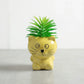 Artificial Succulent With Ceramic Pot 15cm