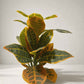 Artificial Autumn Vein Croton with Plastic Pot - 30 CM