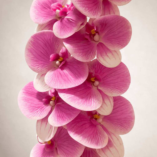 Artificial Blossom Veil Orchid With Plastic Pot - 45 Cm