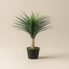 Nolina Artificial plant Without Pot 120cm