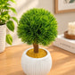 Artificial Green Ball Topiary Plant in White Pot