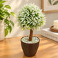 Artificial Green Ball Topiary Plant in White Pot