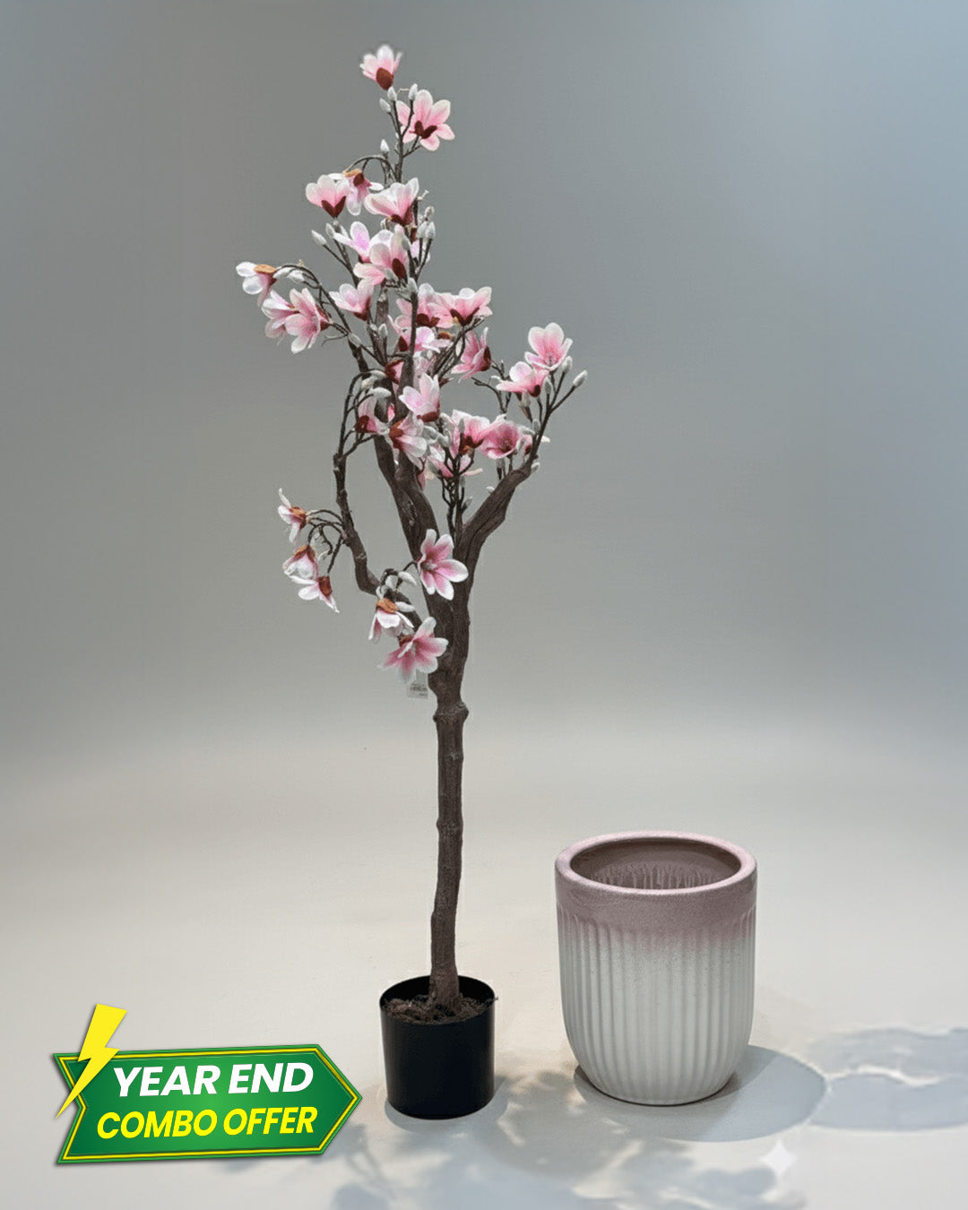 Elegant Magnolia & Blush Ridge Ceramic Planter Combo