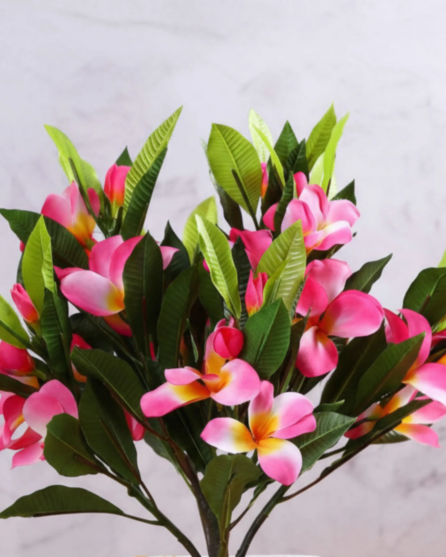 Artificial Frangipani Plant With Pot 26cm