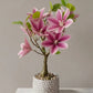 Artificial Magnolia Bonsai Tree in Grey Pot | Lifelike Desk Plant