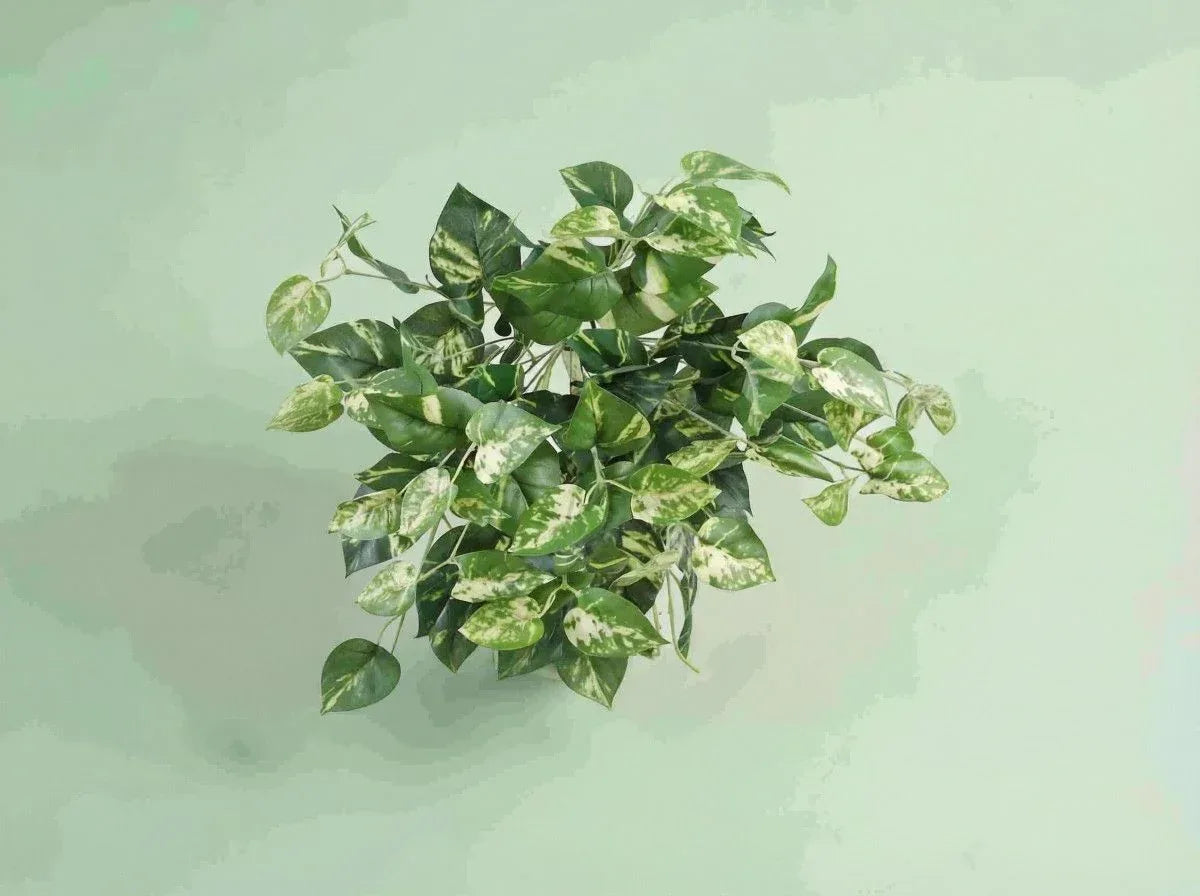 Green artificial plant on a light green background