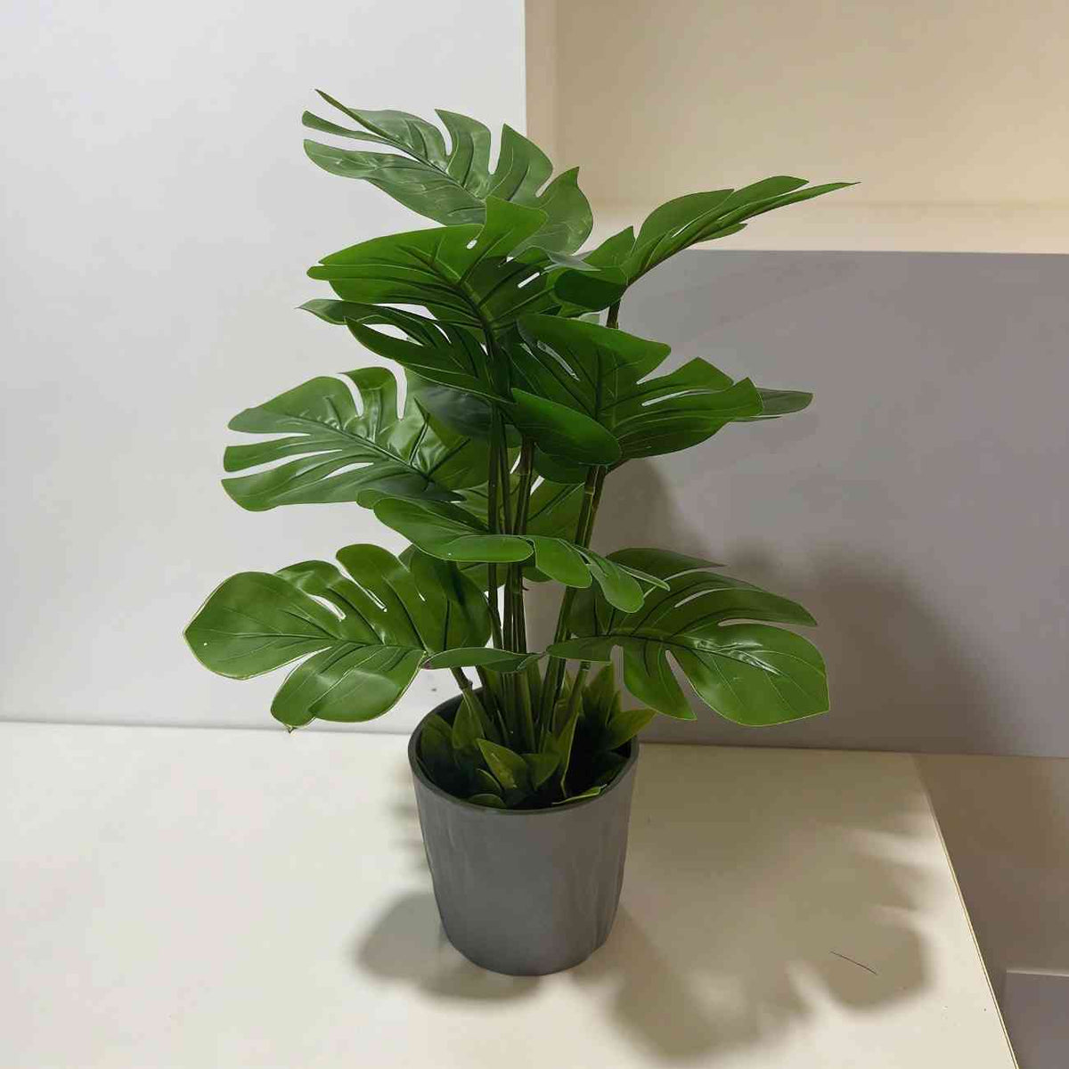 Potted plant with green leaves on a neutral background
