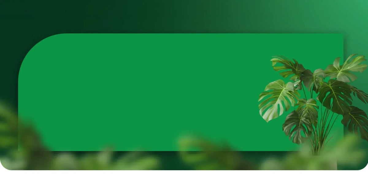 Green screen with palm leaves on a dark green background