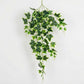 Artificial hanging ivy plant on a white background