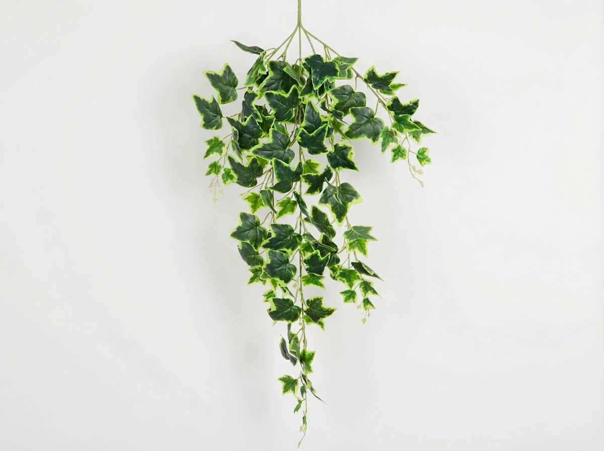 Artificial hanging ivy plant on a white background