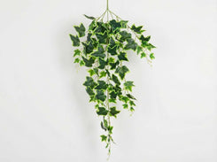 Artificial hanging ivy plant on a white background