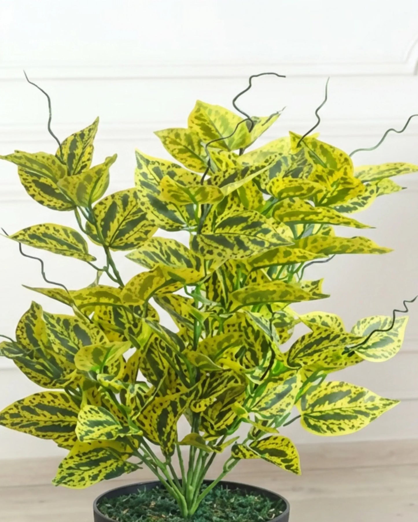 Artificial Caladium Yellow Plant Without Pot 60cm