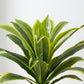 Artificial Dracaena Plant 95cm