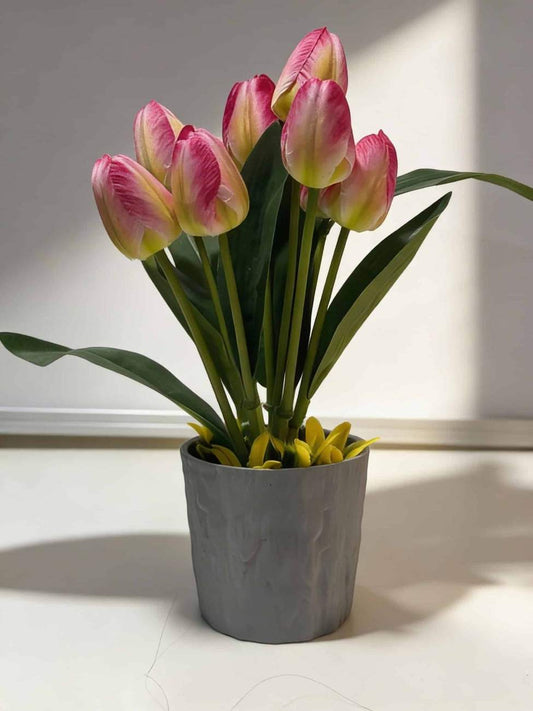 Potted plant with pink and yellow tulips on a light surface.