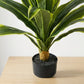 Artificial Dracaena Plant 95cm