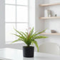 Artificial Real Touch Bosden Fern Without Pot 55cm