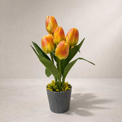 Potted plant with red and yellow tulips on a neutral background