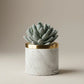 Artificial Succulent With Ceramic Pot 25cm