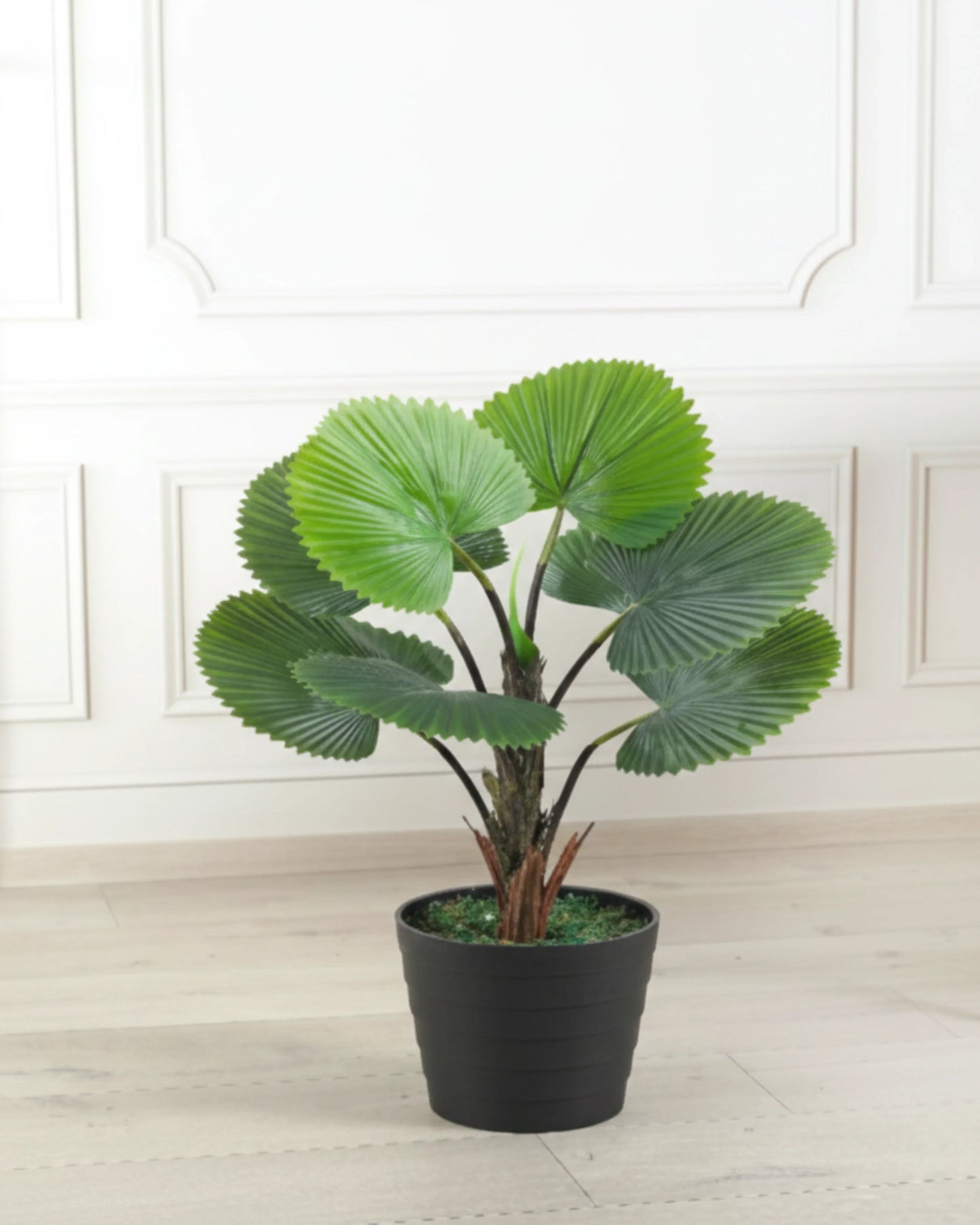 Artificial Real Touch Circular Fan Palm Without Pot 75cm