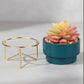 Artificial Succulent  With Ceramic Pot 25cm