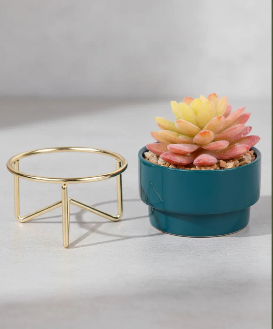Artificial Succulent  With Ceramic Pot 25cm