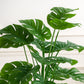 Artificial Leaf Monstera Plant Without Pot 75cm