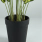 Artificial Arrow Root Plant With Plastic Pot 42cm