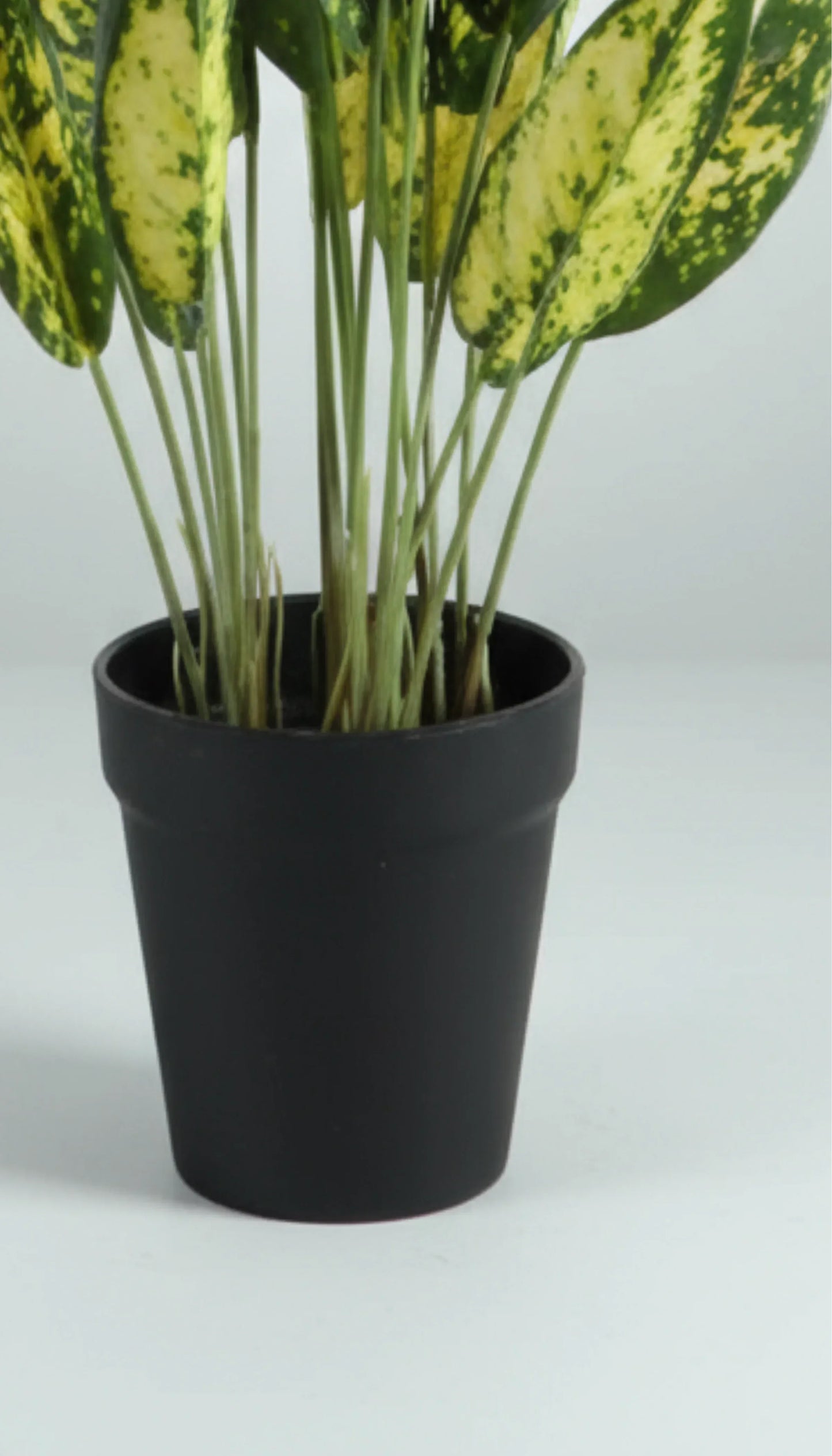 Artificial Arrow Root Plant With Plastic Pot 42cm