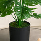 Artificial Leaf Monstera Plant Without Pot 75cm