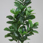 Artificial Fiddle Leaf Fig Plant Without Pot  176 cm