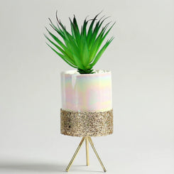 Artificial Succulent  With Ceramic Pot