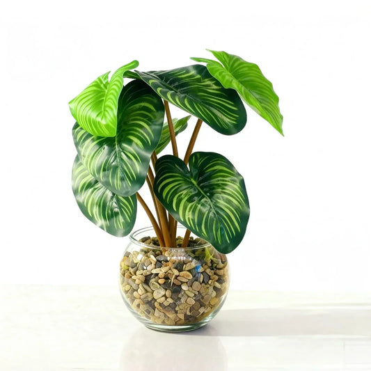 Artificial Calathea Plant in Glass Pebble Pot 25cm