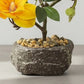 Artificial Yellow Magnolia Bonsai Plant in Stone Pot 27cm