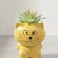 artificial Succulent With Ceramic  Pot 15cm