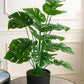 Artificial Leaf Monstera Plant Without Pot 75cm