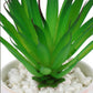 Artificial Succulent  With Ceramic Pot