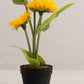 Artificial Sunflower Plant in Black Pot