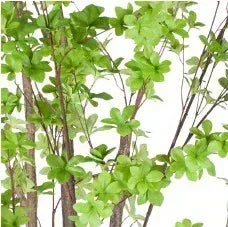 Artificial green plants with brown stems on a white background