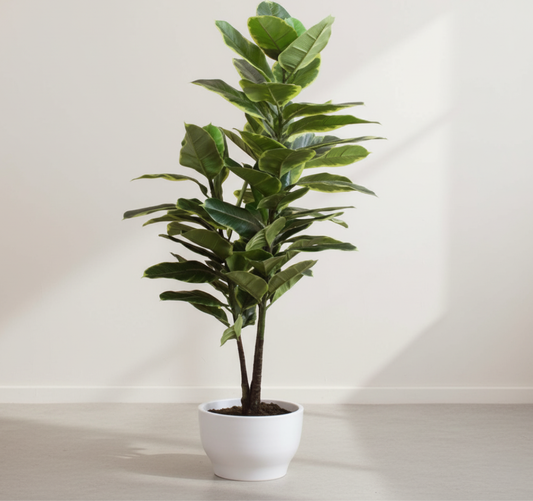 Artificial Rubber Plant Without 120cm