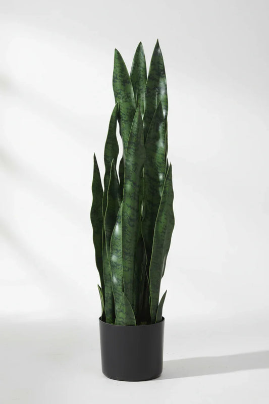 Artificial Snake Plant With Plastic Pot 75cm