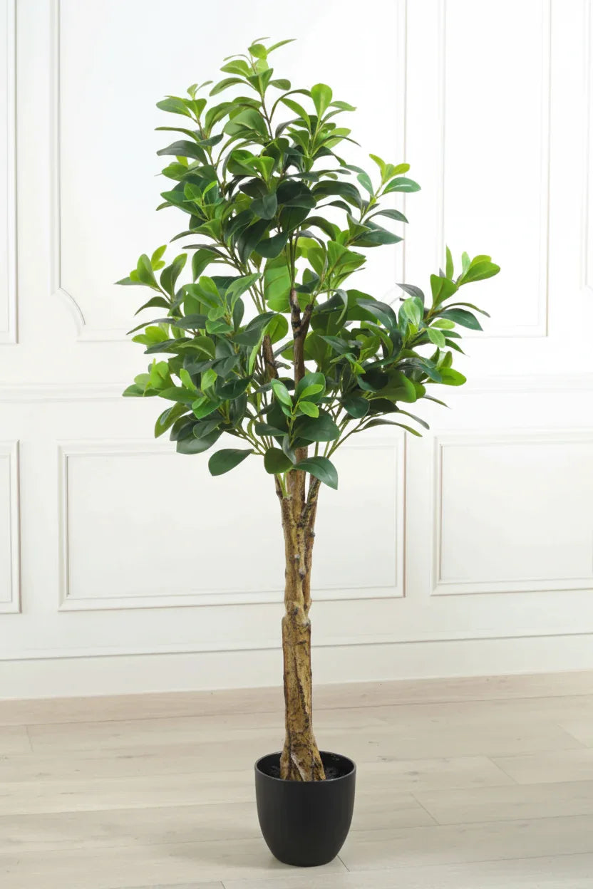 Artificial Peperomia Plant With Pot Height 145cm/4.8ft