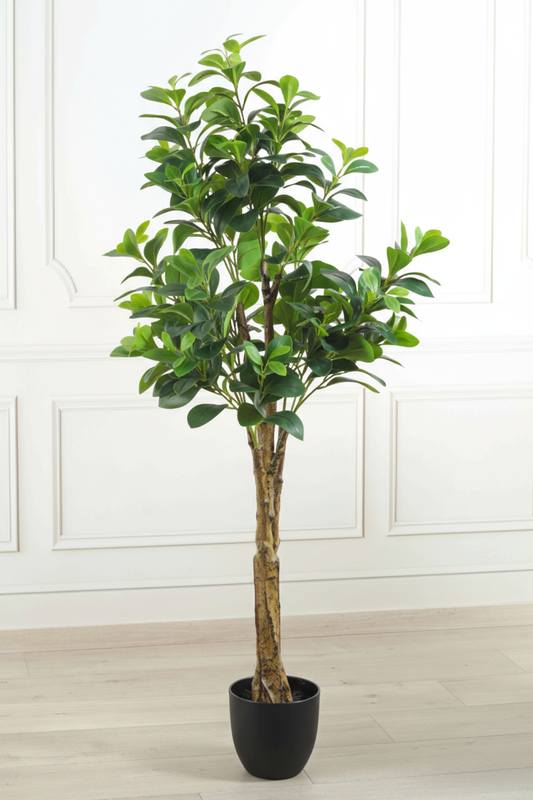 Artificial Peperomia Plant With Pot Height 145cm/4.8ft