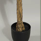 Artificial Peperomia Plant With Pot Height 145cm/4.8ft