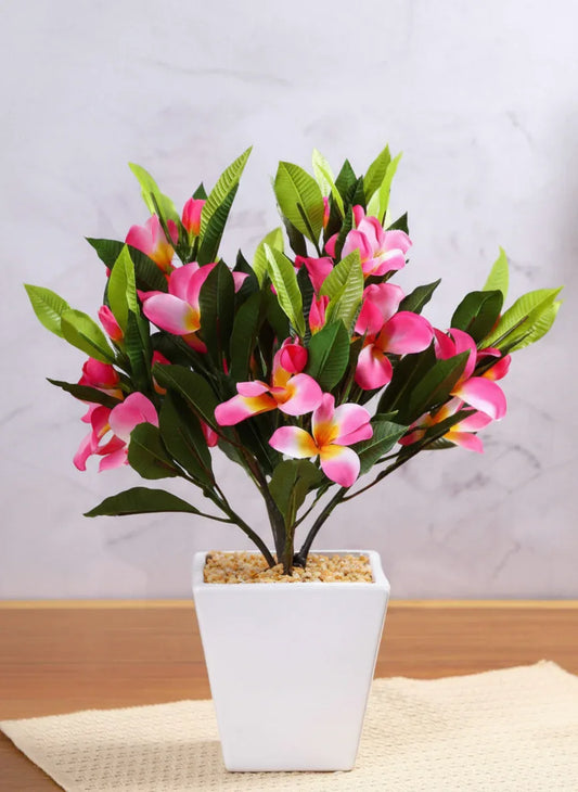 Artificial Frangipani Plant With Pot 26cm