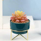 Artificial Succulent  With Ceramic Pot 25cm